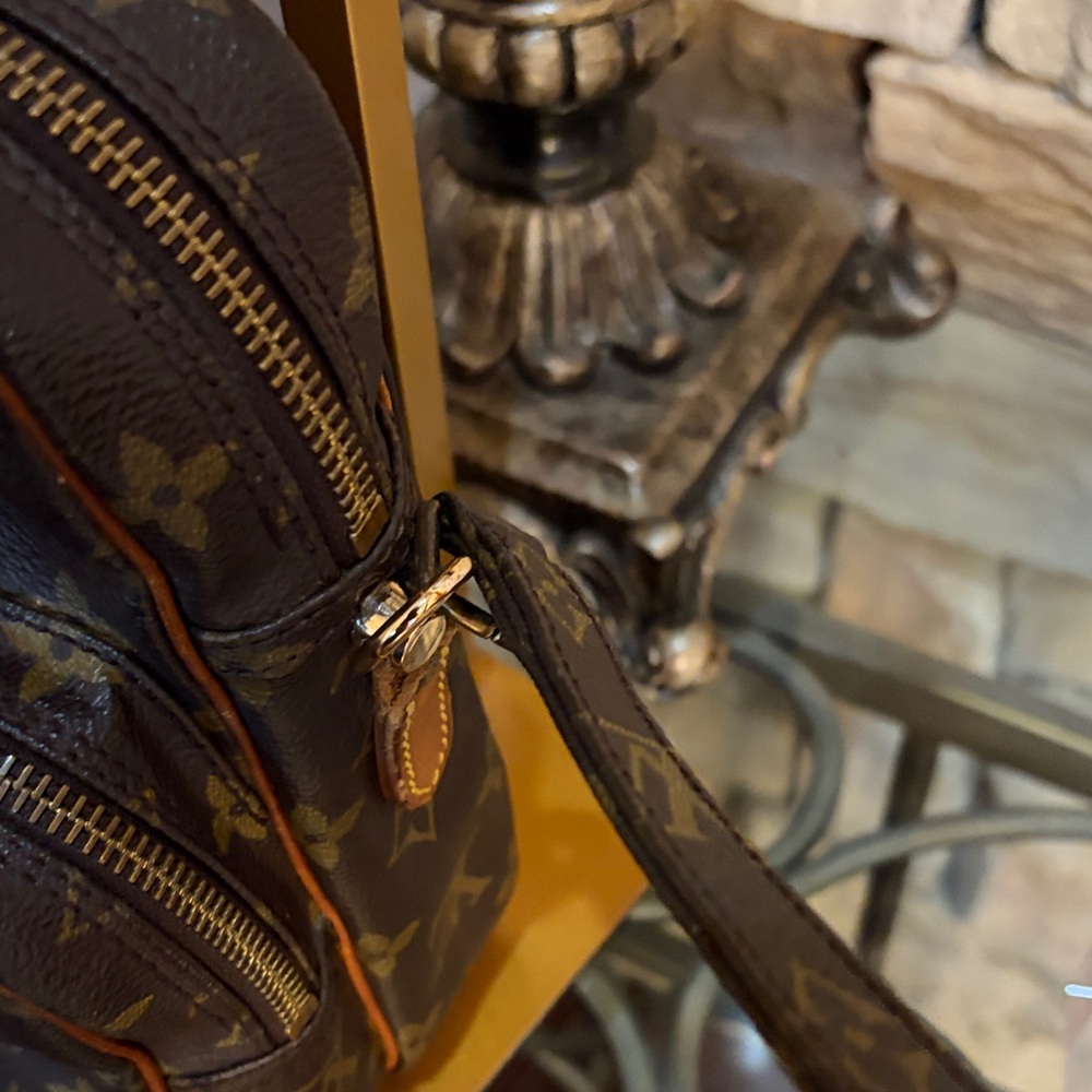 Louis Vuitton Monogram Crossbody Amazon Bag - Picture 6 of 12